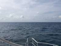 Great day of scuba diving in Key Largo with Rainbow Reef on snapper ledge tropical legend 2018 06 01 r6021 1
