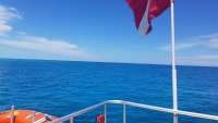 Great day of scuba diving in Key Largo with Rainbow Reef on snapper ledge tropical legend 2018 06 03 r6064 1