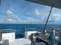 Great day of scuba diving in Key Largo with Rainbow Reef on spiegel grove tropical explorer 2018 06 02 r6044 1