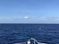 Great day of scuba diving in Key Largo with Rainbow Reef on spiegel grove tropical odyssey 2018 06 21 r6265 1