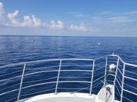 Great day of scuba diving in Key Largo with Rainbow Reef on spiegel grove tropical odyssey 2018 06 23 r6287 1