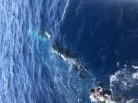 Great day of scuba diving in Key Largo with Rainbow Reef on spiegel grove tropical odyssey 2018 06 26 r6320 1