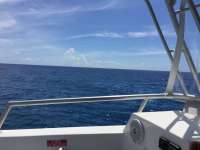 Great day of scuba diving in Key Largo with Rainbow Reef on spiegel grove tropical odyssey 2018 06 30 r6368 1