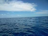 Great day of scuba diving in Key Largo with Rainbow Reef on uscgc bibb tropical explorer 2018 06 30 r6371 1