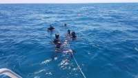 Great day of scuba diving in Key Largo with Rainbow Reef on benwood wreck tropical adventure 2018 03 26 r5689 1