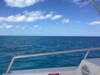 Great day of scuba diving in Key Largo with Rainbow Reef on benwood wreck tropical legend 2018 03 06 r5528 1