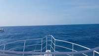 Great day of scuba diving in Key Largo with Rainbow Reef on benwood wreck tropical odyssey 2018 03 07 r5535 1