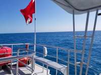 Great day of scuba diving in Key Largo with Rainbow Reef on benwood wreck tropical odyssey 2018 03 11 r5566 1