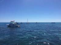 Great day of scuba diving in Key Largo with Rainbow Reef on christ statue tropical adventure 2018 03 16 r5608 1
