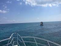 Great day of scuba diving in Key Largo with Rainbow Reef on christ statue tropical adventure 2018 03 18 r5627 1