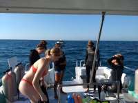Great day of scuba diving in Key Largo with Rainbow Reef on christ statue tropical explorer 2018 03 26 r5683 1