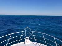 Great day of scuba diving in Key Largo with Rainbow Reef on christmastree cave tropical adventure 2018 03 13 r5573 1