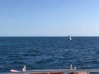 Great day of scuba diving in Key Largo with Rainbow Reef on christmastree cave tropical legend 2018 03 11 r5564 1