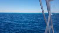 Great day of scuba diving in Key Largo with Rainbow Reef on eagle ray alley tropical legend 2018 03 03 r5501 1