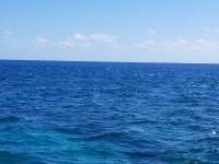 Great day of scuba diving in Key Largo with Rainbow Reef on eagle ray alley tropical legend 2018 03 05 r5519 1