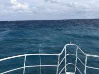 Great day of scuba diving in Key Largo with Rainbow Reef on eagle ray alley tropical legend 2018 03 10 r5560 1