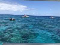 Great day of scuba diving in Key Largo with Rainbow Reef on eagle ray alley tropical legend 2018 03 30 r5700 1