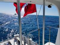 Great day of scuba diving in Key Largo with Rainbow Reef on eagle ray alley tropical voyager 2018 03 04 r5513 1