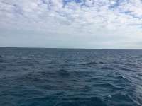 Great day of scuba diving in Key Largo with Rainbow Reef on eagle ray alley tropical voyager 2018 03 14 r5583 1
