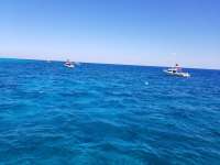 Great day of scuba diving in Key Largo with Rainbow Reef on fire coral cave tropical voyager 2018 03 15 r5601 1