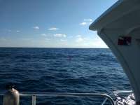 Great day of scuba diving in Key Largo with Rainbow Reef on french deep tropical explorer 2018 03 25 r5674 1