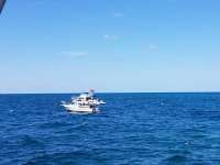 Great day of scuba diving in Key Largo with Rainbow Reef on french reef tropical odyssey 2018 03 25 r5676 1