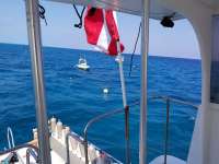 Great day of scuba diving in Key Largo with Rainbow Reef on french reef tropical voyager 2018 03 19 r5633 1