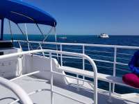Great day of scuba diving in Key Largo with Rainbow Reef on hole in the wall tropical adventure 2018 03 08 r5543 1