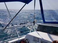 Great day of scuba diving in Key Largo with Rainbow Reef on molasses reef tropical adventure 2018 03 07 r5536 1
