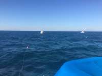 Great day of scuba diving in Key Largo with Rainbow Reef on molasses reef tropical adventure 2018 03 15 r5594 1