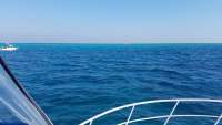 Great day of scuba diving in Key Largo with Rainbow Reef on molasses reef tropical adventure 2018 03 26 r5685 1