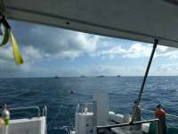 Great day of scuba diving in Key Largo with Rainbow Reef on molasses reef tropical explorer 2018 03 31 r5704 1