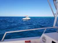 Great day of scuba diving in Key Largo with Rainbow Reef on molasses reef tropical legend 2018 03 05 r5516 1