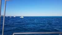 Great day of scuba diving in Key Largo with Rainbow Reef on molasses reef tropical legend 2018 03 15 r5596 1