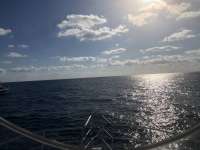Great day of scuba diving in Key Largo with Rainbow Reef on molasses reef tropical legend 2018 03 17 r5613 1