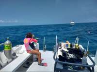 Great day of scuba diving in Key Largo with Rainbow Reef on molasses reef tropical odyssey 2018 03 20 r5637 1