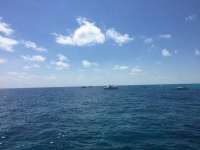 Great day of scuba diving in Key Largo with Rainbow Reef on molasses reef tropical voyager 2018 03 17 r5619 1