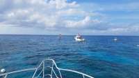 Great day of scuba diving in Key Largo with Rainbow Reef on north star tropical adventure 2018 03 31 r5703 1