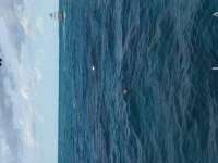 Great day of scuba diving in Key Largo with Rainbow Reef on north star tropical voyager 2018 03 10 r5556 1