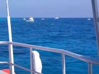 Great day of scuba diving in Key Largo with Rainbow Reef on permit ledges tropical odyssey 2018 03 11 r5568 1