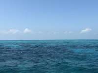 Great day of scuba diving in Key Largo with Rainbow Reef on pickles reef tropical legend 2018 03 11 r5567 1