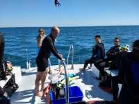 Great day of scuba diving in Key Largo with Rainbow Reef on snapper ledge tropical adventure 2018 03 23 r5659 1