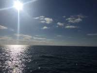 Great day of scuba diving in Key Largo with Rainbow Reef on snapper ledge tropical voyager 2018 03 17 r5615 1