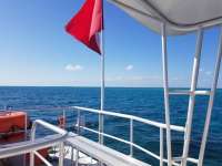 Great day of scuba diving in Key Largo with Rainbow Reef on spanish anchor tropical legend 2018 03 05 r5521 1