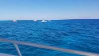 Great day of scuba diving in Key Largo with Rainbow Reef on spanish anchor tropical legend 2018 03 14 r5587 1