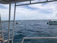 Great day of scuba diving in Key Largo with Rainbow Reef on spanish anchor tropical legend 2018 03 31 r5707 1