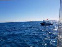 Great day of scuba diving in Key Largo with Rainbow Reef on spanish anchor tropical voyager 2018 03 15 r5597 1