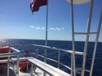 Great day of scuba diving in Key Largo with Rainbow Reef on spiegel grove tropical legend 2018 03 04 r5514 1