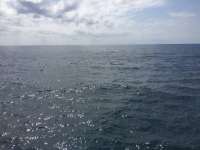 Great day of scuba diving in Key Largo with Rainbow Reef on spiegel grove tropical odyssey 2018 03 18 r5623 1