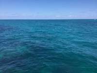Great day of scuba diving in Key Largo with Rainbow Reef on the horseshoe tropical adventure 2018 03 25 r5679 1